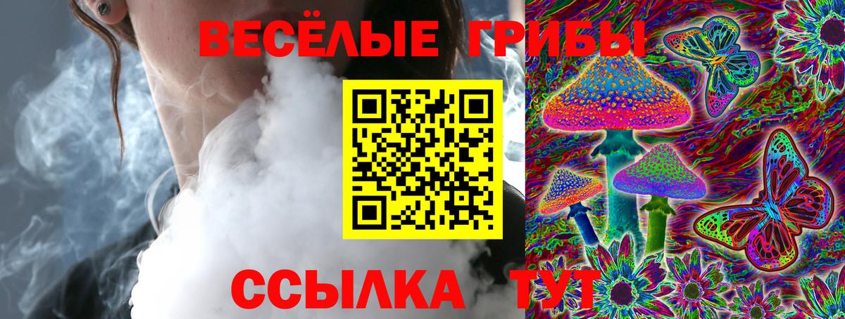Выкса  Галлюциногенные грибы Psilocybe  Вход с VPN 