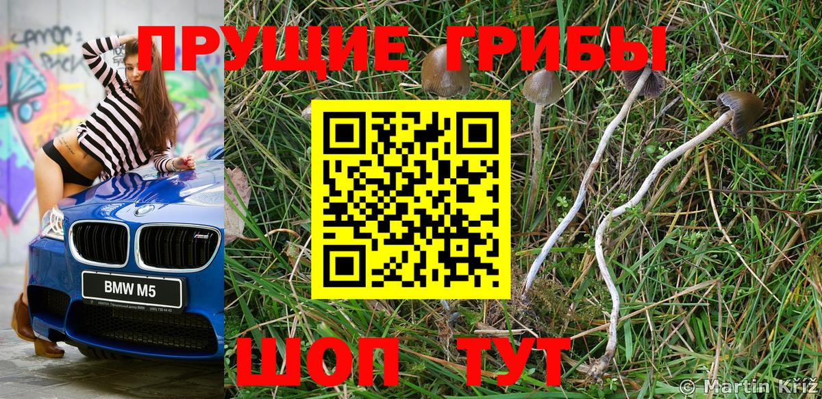 Галлюциногенные грибы Cubensis Выкса